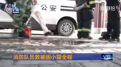 “เจ้าหน้าที่ดับเพลิงจีนช่วยนำเจ้าแมวน้อยที่ติดอยู่ในท่อ ออกมาได้สำเร็จ …สร้างค…