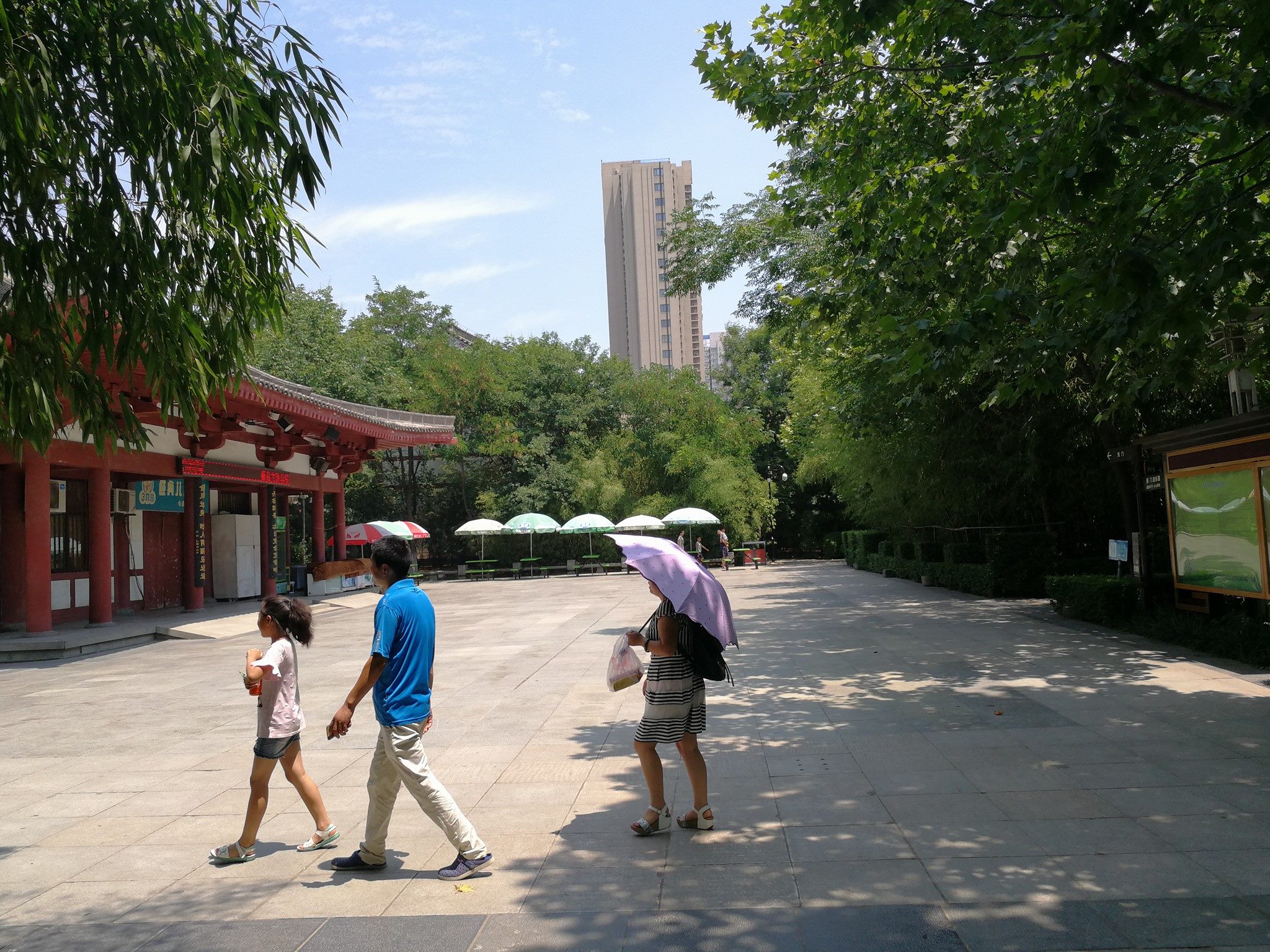 ชาวจีนหลบร้อนมาพักอาศัยร่มเงาต้นไม้ในสวนสาธารณะ
 อ้ายจงถ่ายภาพที่ 丰庆公园 เมืองซีอา…
