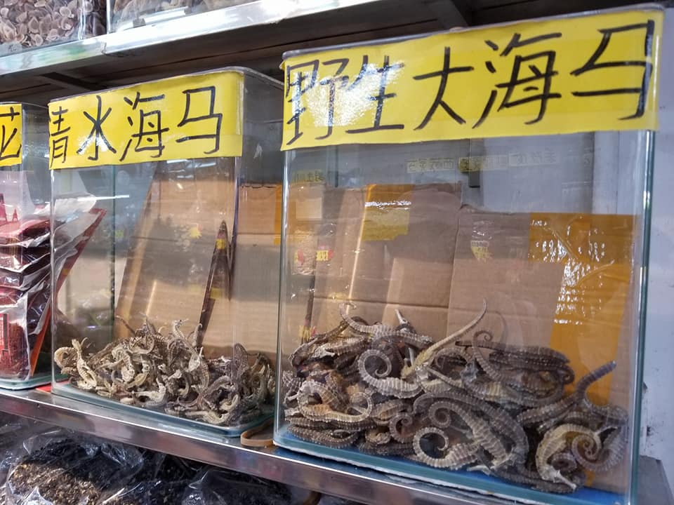 ม้าน้ำแห้ง ณ ตลาดขายส่งอาหาร-ของแห้ง เมืองกว่างโจว 

คนจีนนิยมนำไปทำยา ประกอบอาห…
