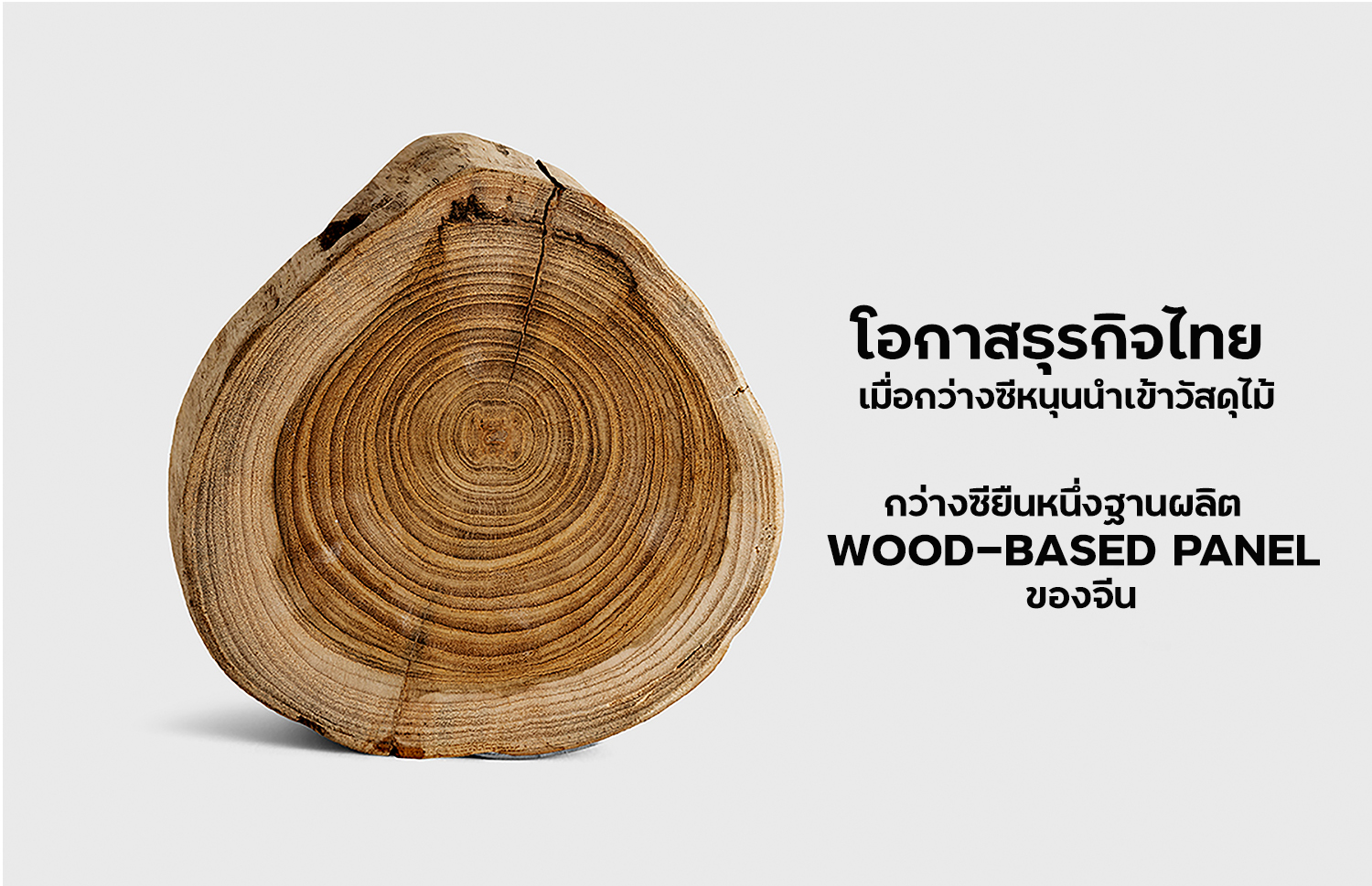 โอกาสธุรกิจไทย เมื่อกว่างซีหนุนนำเข้าวัสดุไม้ กว่างซียืนหนึ่ง ฐานผลิต Wood-based Panel ของจีน