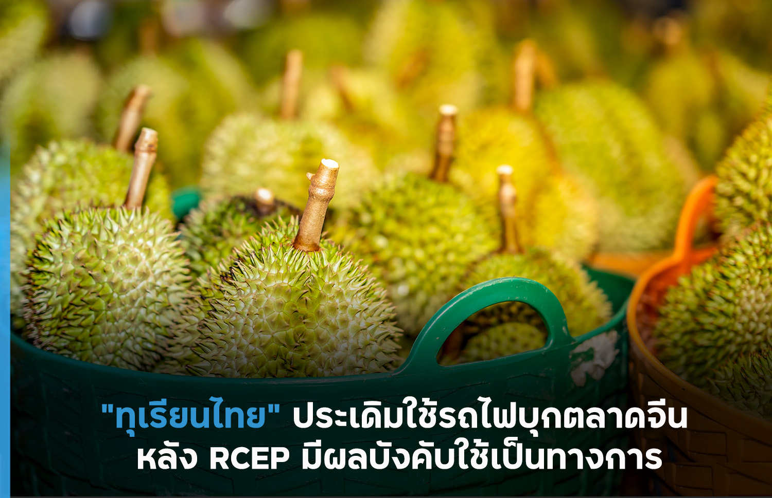 “ทุเรียนไทย” ประเดิมใช้รถไฟบุกตลาดจีน หลัง RCEP มีผลบังคับใช้เป็นทางการ