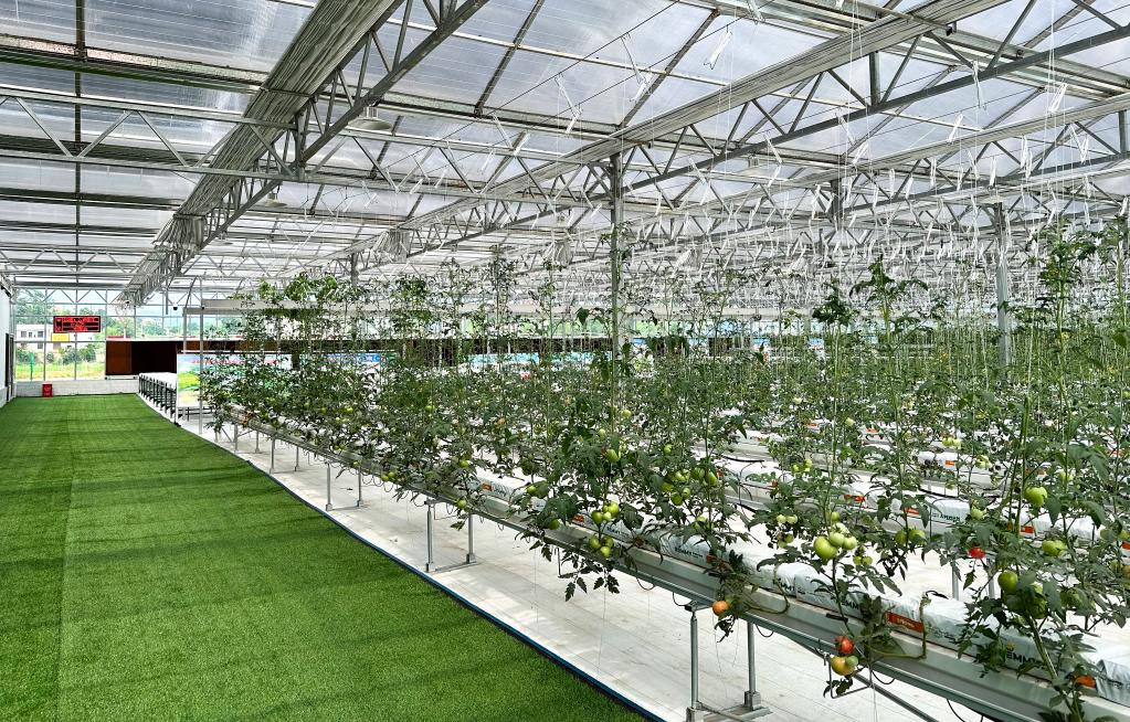 เมืองเซี่ยเหมินเปิดตัวนิคมอุตสาหกรรมเกษตรอัจฉริยะแห่งแรกของเมือง – thaibizchina