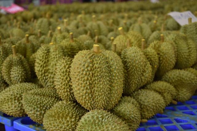 ยุคของปัญญาประดิษฐ์โรงงานทุเรียนในไทยเข้าร่วมการประชุม ณ นครจี่หนานพร้อมแชร์เทคโนโลยีสุดล้ำ “AI คัดเลือกทุเรียน”